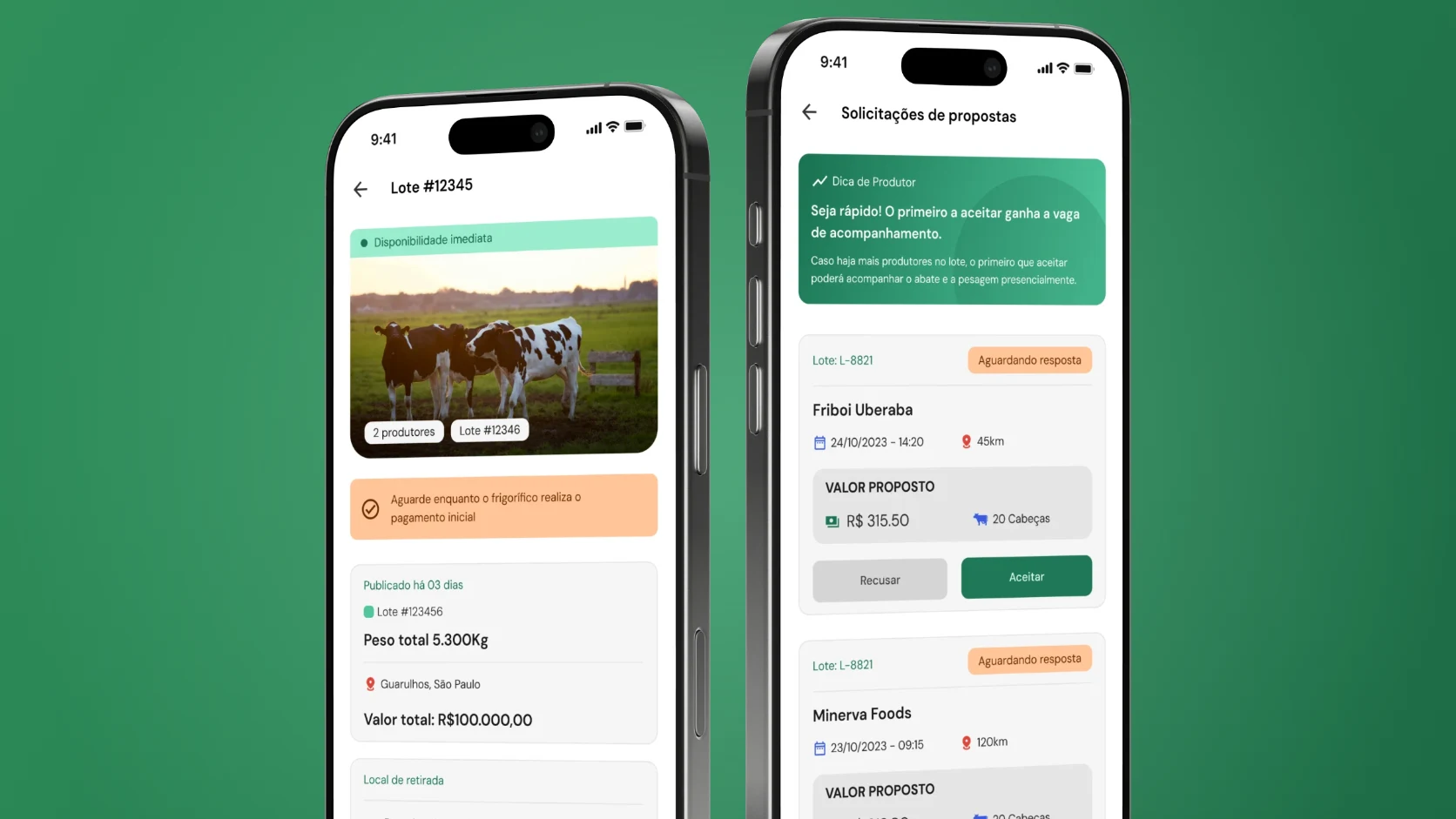 App BullApp: detalhes do lote e propostas